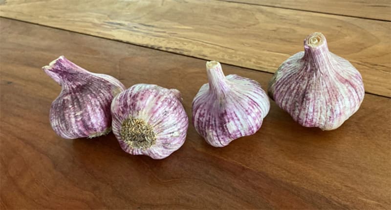 images/1750240309403clasificar el ajo.jpg